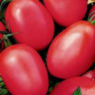 Томат Червоний мисливець за 0,1 г