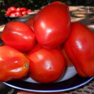Томат Японський перст за 0,1 г