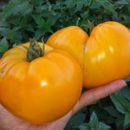 Томат Волове серце жовте за 0,1 г