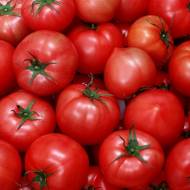 Томат Дебют F1 за 10 нас.