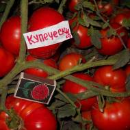 Томат Купецький за 0,1 г