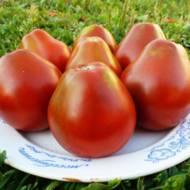Томат Августовський за 0,1 г