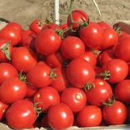 Томат Солероссо F1