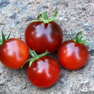 Томат Бінг Бінг за 0,1 г