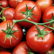 Томат Здорове життя за 0,2 г