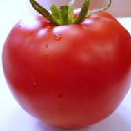 Томат Зінуля-2 за 0,1 г