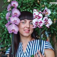 ФАЛЕНОПСИС МІКС