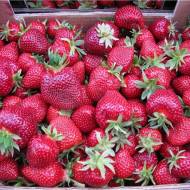 Саджанець Суниця Мармелада