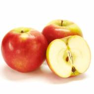 Саджанець Яблуня Ерлі Женева