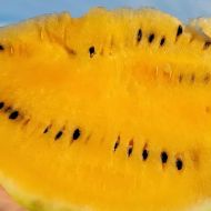 Кавун Оранж Кінг F1