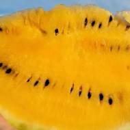 Кавун Оранж Кінг F1