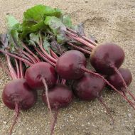 Буряк Гранатовий сік