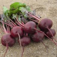 Буряк Гранатовий сік