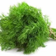 Кріп Духм’яний пучок