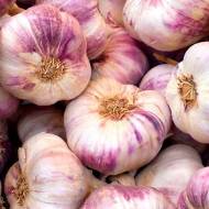 Часник Софіївський (головка, фракція 4-5 см)