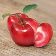 Саженец Яблоня Джеромини