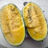 Арбуз Шуга Йеллоу F1