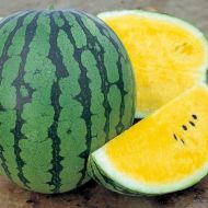 Арбуз Оранж Кинг F1