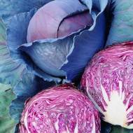 Капуста Інтеграл F1