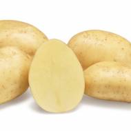 Семенной картофель Парадизо