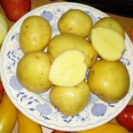 Семенной картофель Ривьера