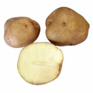 Комплект трех ранних сортов семенного картофеля