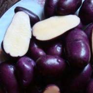 Семенной картофель Цыганка