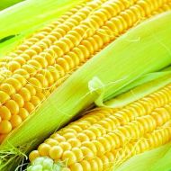 Кукуруза Сладкое ожерелье за 20 г