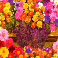 Цветочная смесь Зимний букет за 0,2 г