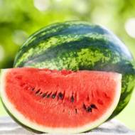 Арбуз Роза Юго-Востока