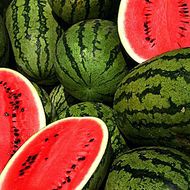 Арбуз Холодок