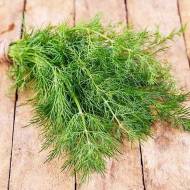 Укроп Лукуллус