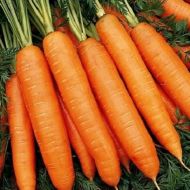 Морква Берлікумер