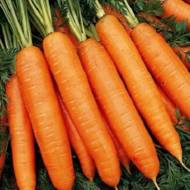 Морква Берлікумер