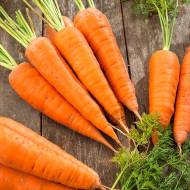 Морква Калина за 20 г