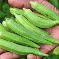 Бамія за 1 г