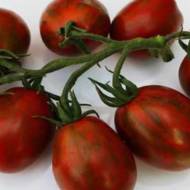 Томат Екзотик за 0,1 г