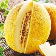 Диня Тітовка