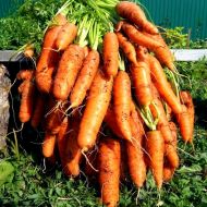 Морква Смак дитинства за 20 г