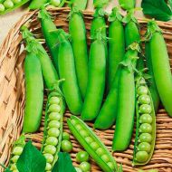 Горох Овочеве диво