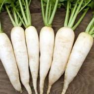 Редька Дайкон Ікло слона