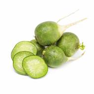 Редька Маргеланська