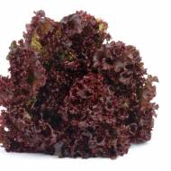 Салат Лолло Росса