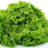 Салат Лолло Біонда за 0,5 г