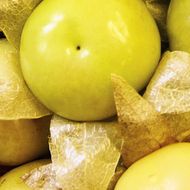 Фізаліс Кондитер за 0,2 г