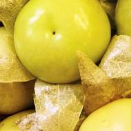 Фізаліс Кондитер за 0,2 г