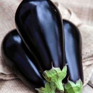 Баклажан Перфекшен F1 за 8 нас.