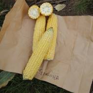 Кукурудза цукрова Герміона F1