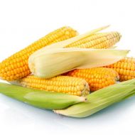 Кукурудза цукрова Юрмала