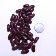 Фасоль кустовая Калинка Нежинская